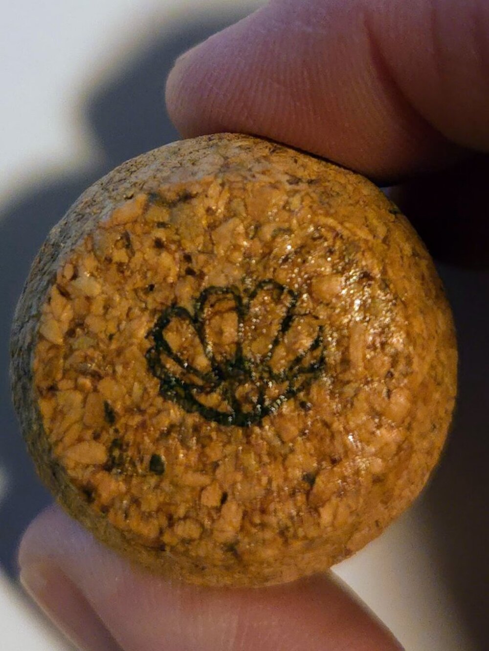 Brand New Hand Crafted Magnet Created from Champagne Cork Featuring Seashell